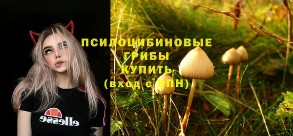 винт Кукмор
