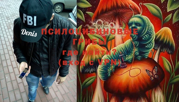 скорость Ладушкин